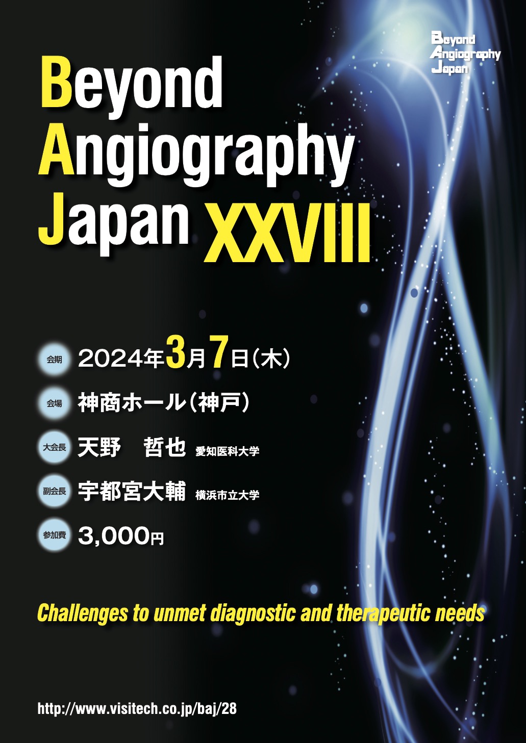 Beyond Angiography Japan